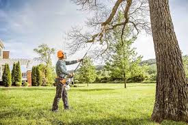 Best Tree Maintenance Programs  in Clarendon Hls, IL